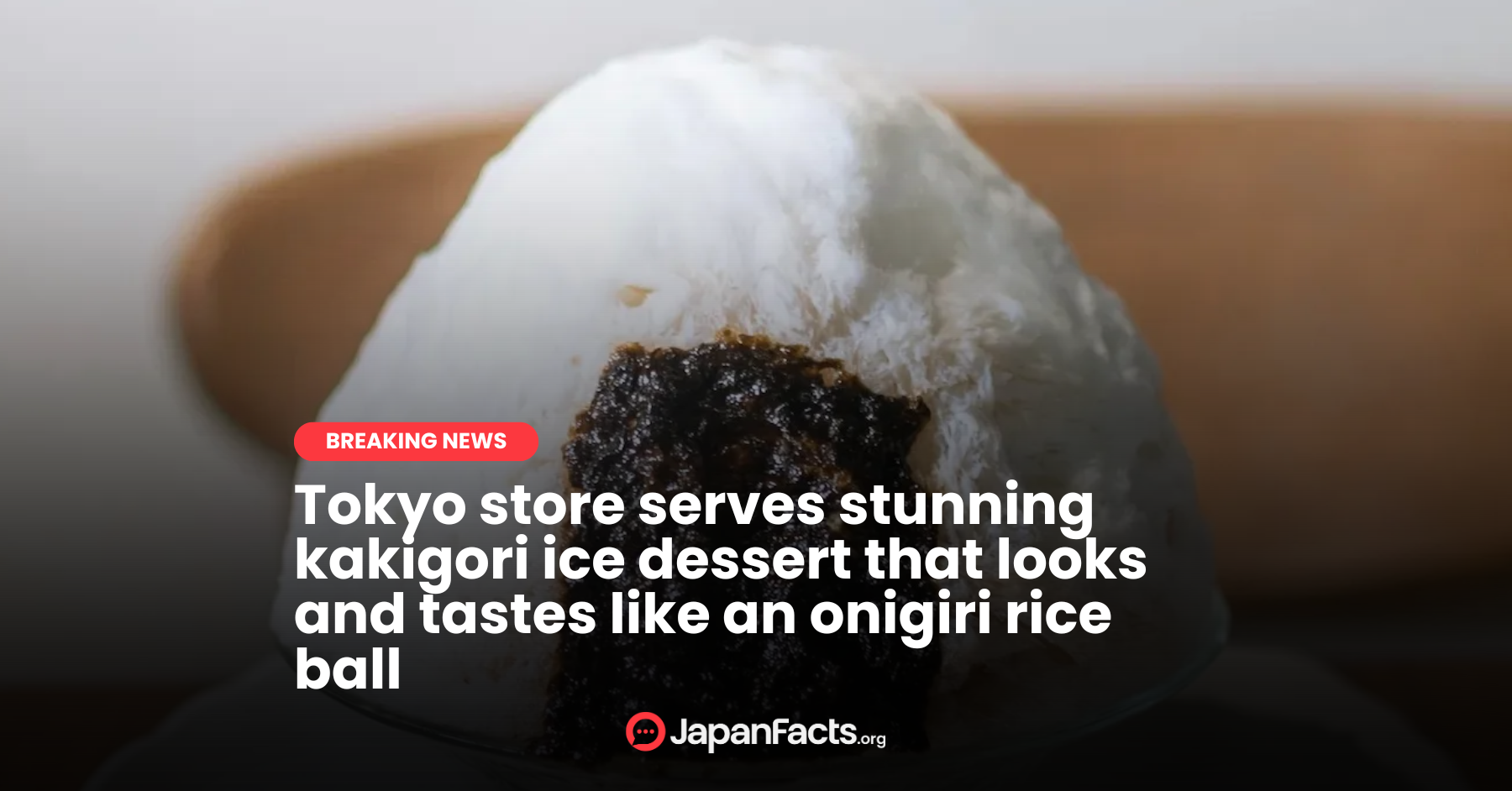 Onigiri Shaved Ice