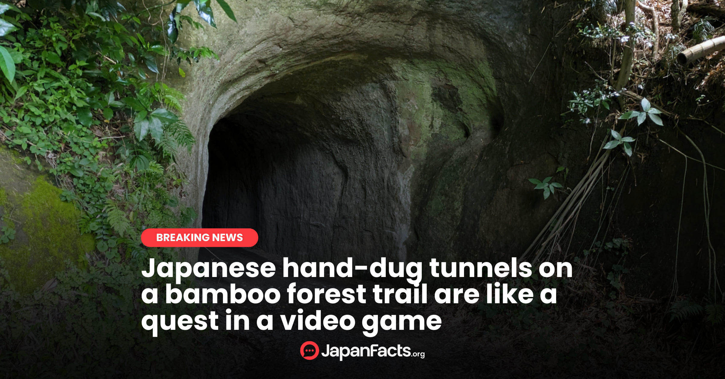 Bamboo Tunnel Quest