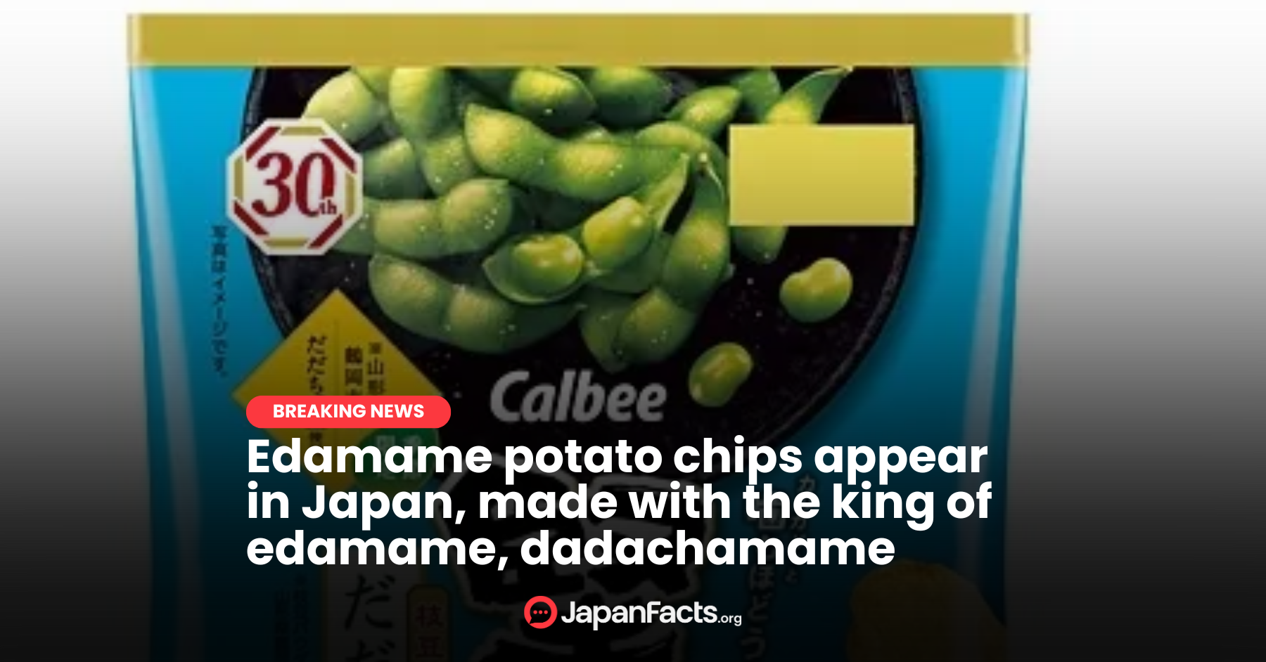 Crunch into Japan’s Finest: Edamame Potato Chips