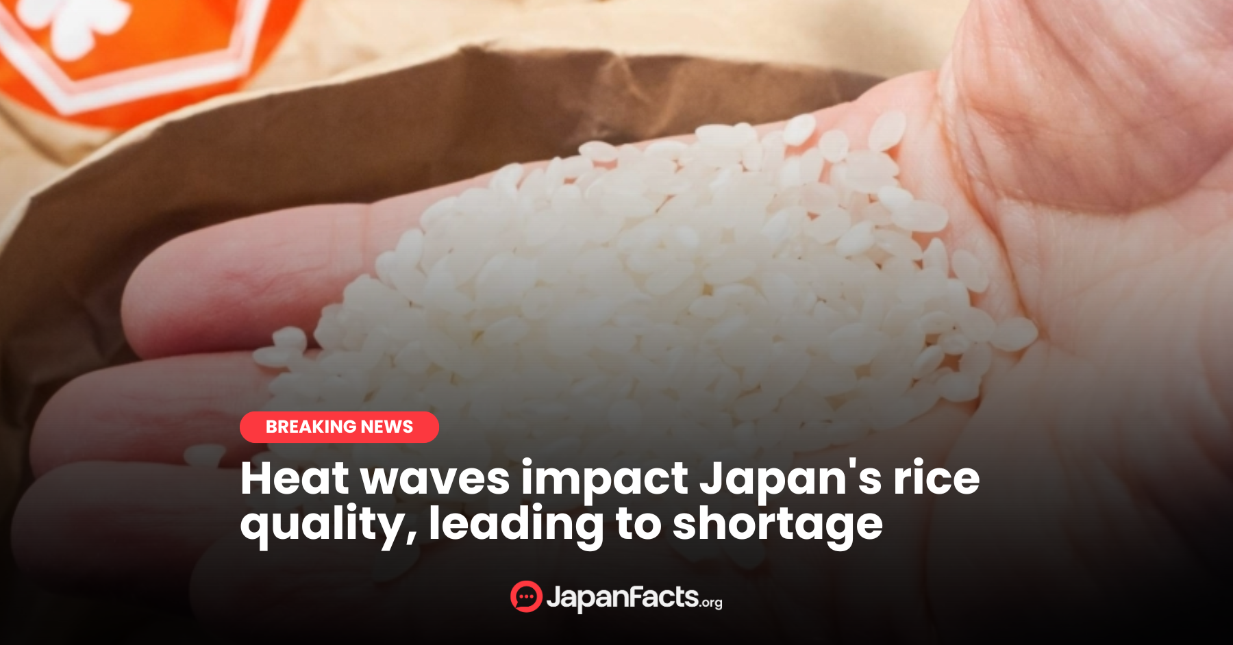 Rice in Distress: Heat Waves Trigger Quality Decline and Shortage in Japan