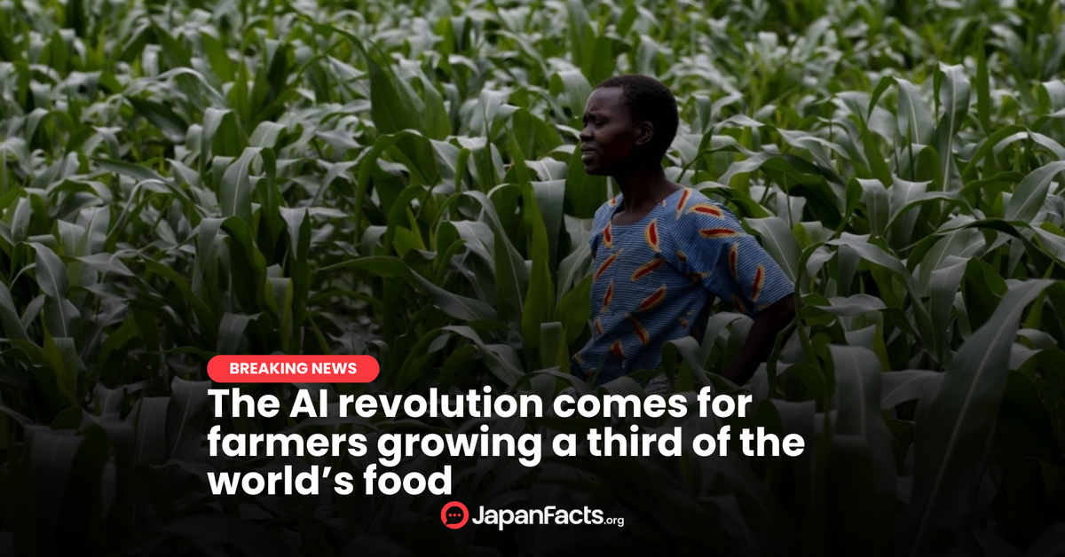 AI Transforms Farming in Malawi