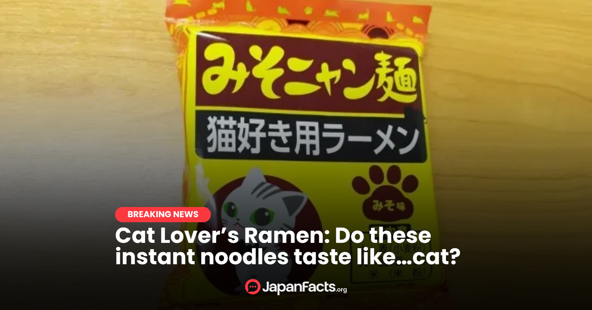 Cat Lovers' Ramen: Purr-fectly Delicious