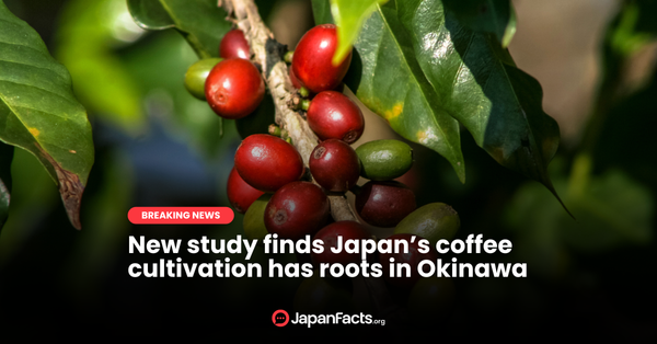 Okinawa's Hidden Brew