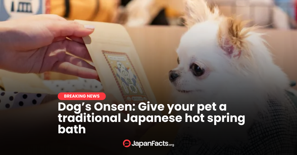 Doggy Onsen Delight